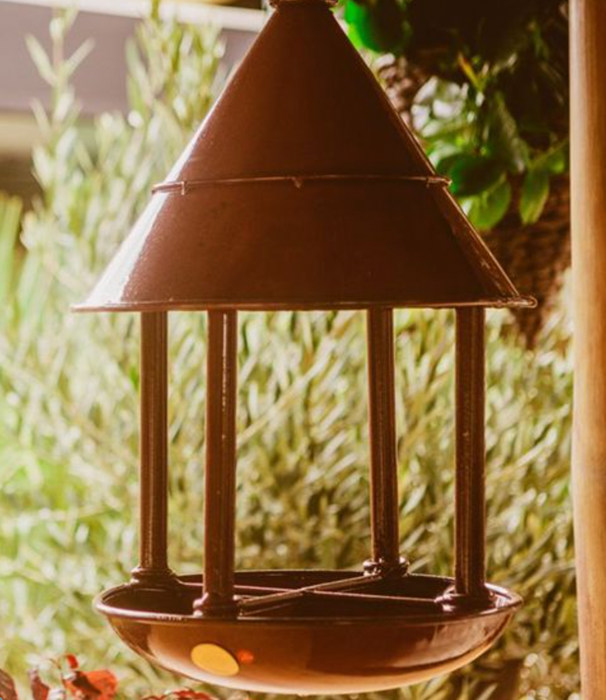 Bird Feeders