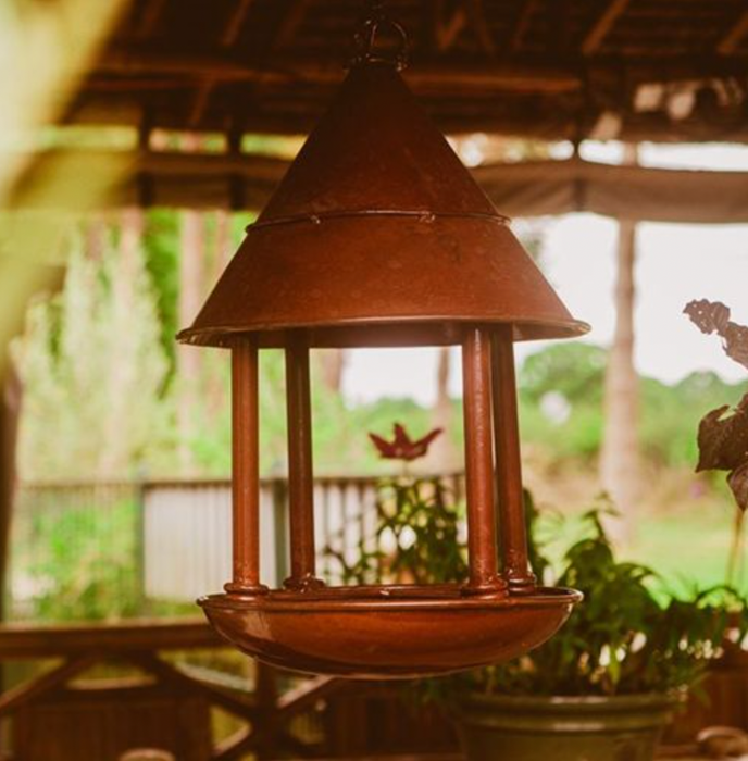 Bird Feeders