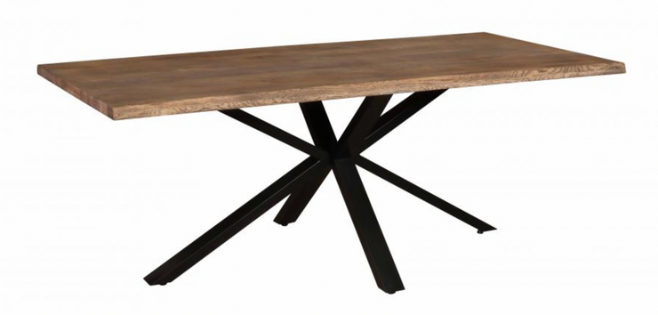 The Modena Spider Dining Table