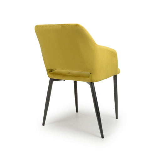 Nero Dining Chair in Lime Gold Velvet