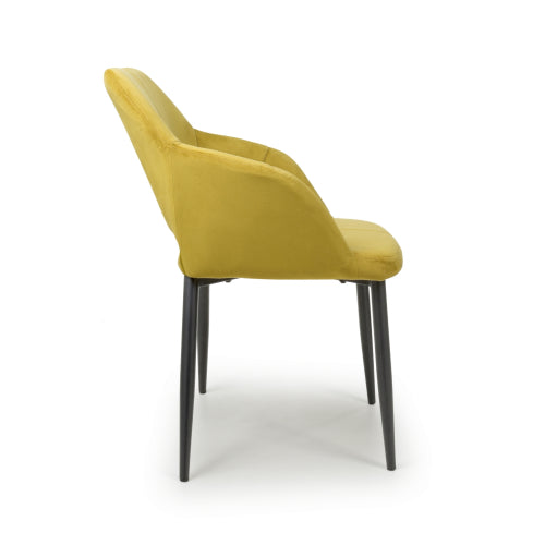 Nero Dining Chair in Lime Gold Velvet