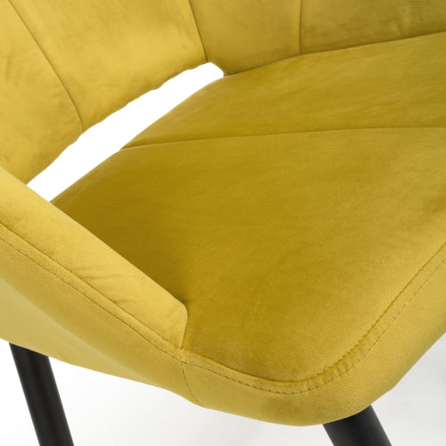 Nero Dining Chair in Lime Gold Velvet