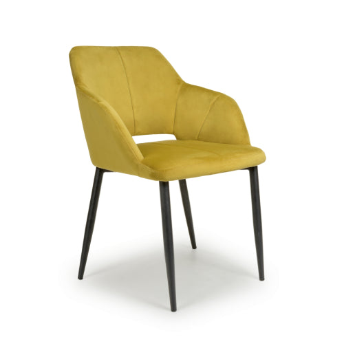 Nero Dining Chair in Lime Gold Velvet