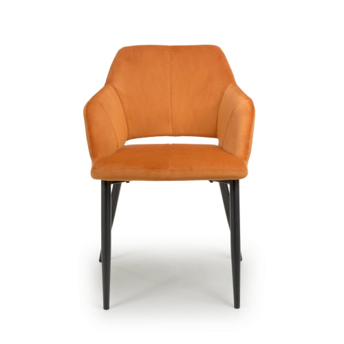 Nero Dining Chair in Burnt Orange Velvet