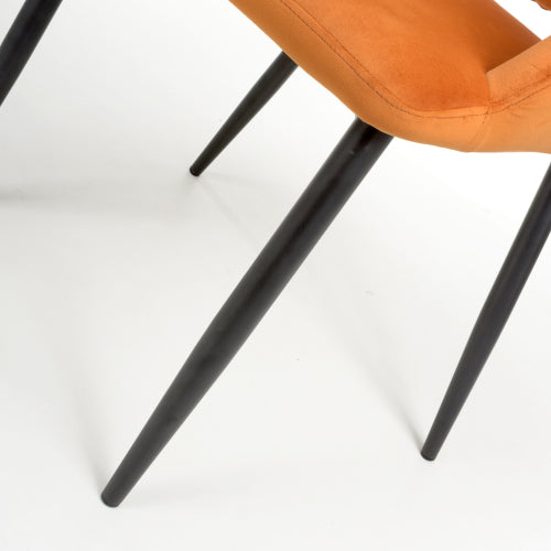 Nero Dining Chair in Burnt Orange Velvet