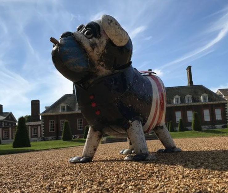 Winston the Bulldog Cooler