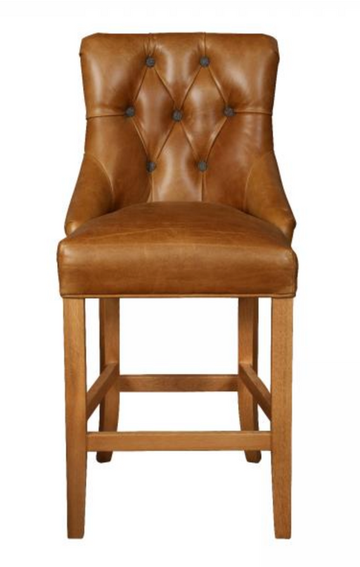 Sienna Barstool in Brown Leather